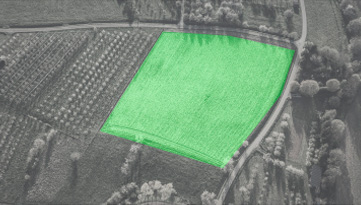 Sensoriamento remoto / Avaliação temporal